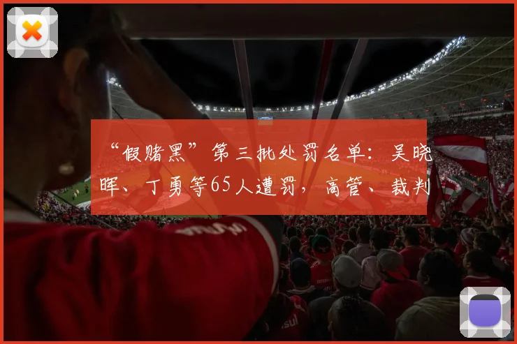 “假赌黑”第三批处罚名单：吴晓晖、丁勇等65人遭罚，高管、裁判、球员在列_1